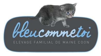 banniere bleucommetoi